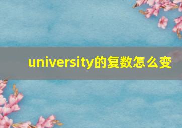 university的复数怎么变