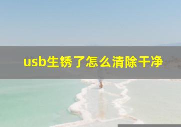 usb生锈了怎么清除干净