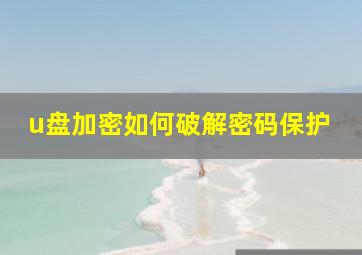 u盘加密如何破解密码保护