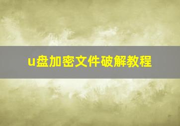 u盘加密文件破解教程