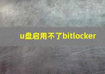 u盘启用不了bitlocker