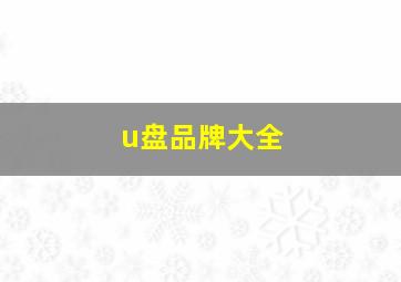 u盘品牌大全