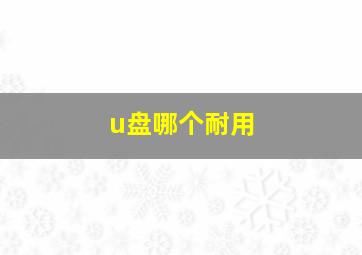 u盘哪个耐用