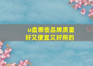 u盘哪些品牌质量好又便宜又好用的