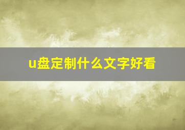 u盘定制什么文字好看