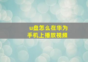 u盘怎么在华为手机上播放视频