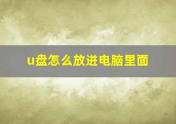 u盘怎么放进电脑里面