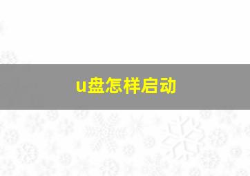 u盘怎样启动