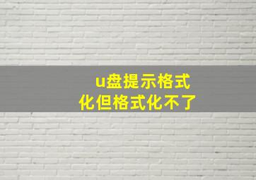 u盘提示格式化但格式化不了