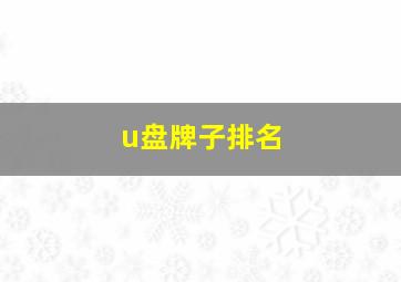 u盘牌子排名