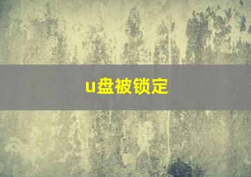 u盘被锁定