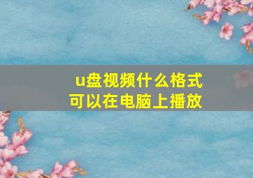 u盘视频什么格式可以在电脑上播放