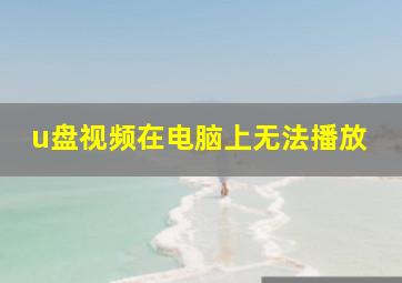 u盘视频在电脑上无法播放