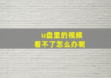 u盘里的视频看不了怎么办呢