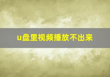 u盘里视频播放不出来