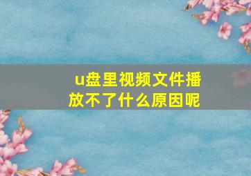 u盘里视频文件播放不了什么原因呢