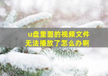 u盘里面的视频文件无法播放了怎么办啊