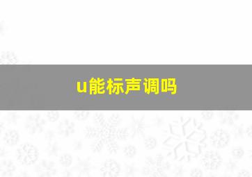 u能标声调吗