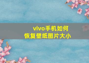 vivo手机如何恢复壁纸图片大小