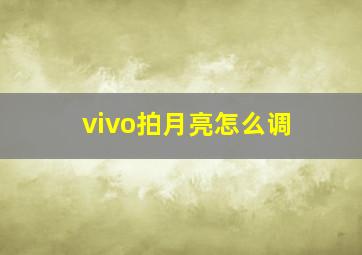 vivo拍月亮怎么调