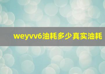 weyvv6油耗多少真实油耗