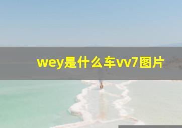 wey是什么车vv7图片