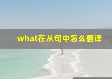 what在从句中怎么翻译