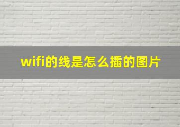 wifi的线是怎么插的图片