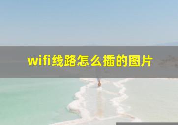 wifi线路怎么插的图片