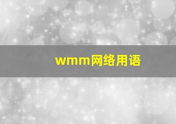 wmm网络用语