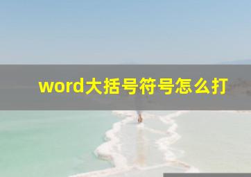 word大括号符号怎么打