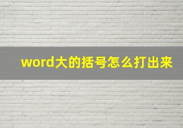 word大的括号怎么打出来