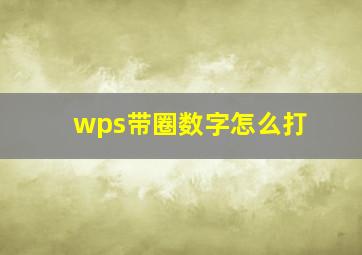 wps带圈数字怎么打