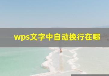 wps文字中自动换行在哪