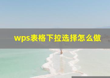 wps表格下拉选择怎么做