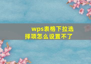 wps表格下拉选择项怎么设置不了