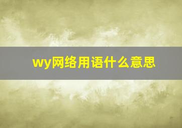 wy网络用语什么意思