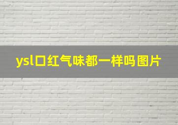 ysl口红气味都一样吗图片