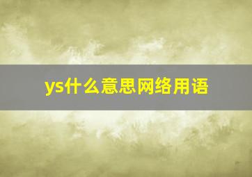 ys什么意思网络用语