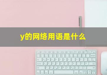 y的网络用语是什么