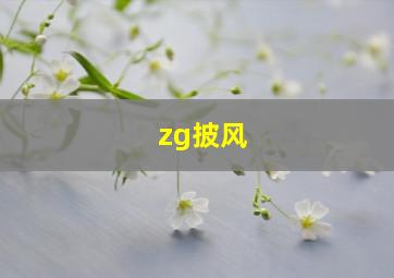 zg披风