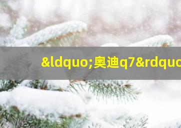 “奥迪q7”