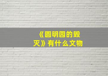 《圆明园的毁灭》有什么文物