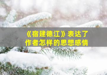 《宿建德江》表达了作者怎样的思想感情