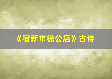 《宿新市徐公店》古诗