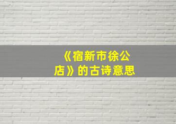 《宿新市徐公店》的古诗意思