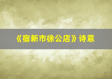 《宿新市徐公店》诗意