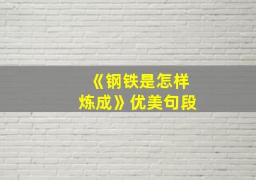 《钢铁是怎样炼成》优美句段