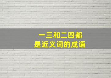 一三和二四都是近义词的成语