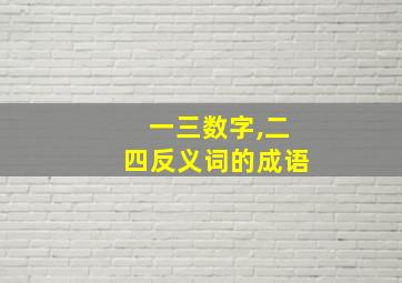 一三数字,二四反义词的成语